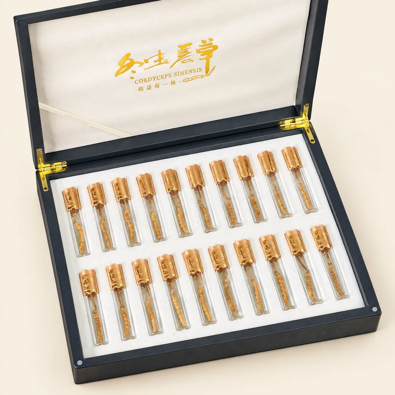 西藏那曲冬蟲夏草禮盒 20g 獨立小管裝 3000 條規格精選蟲草